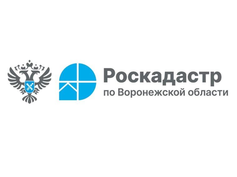 Воронежский Роскадастр расскажет о консультационных услугах.